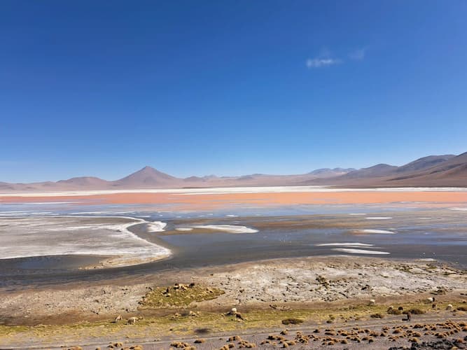 Tour Salar de Uyuni – Isla del Sol 