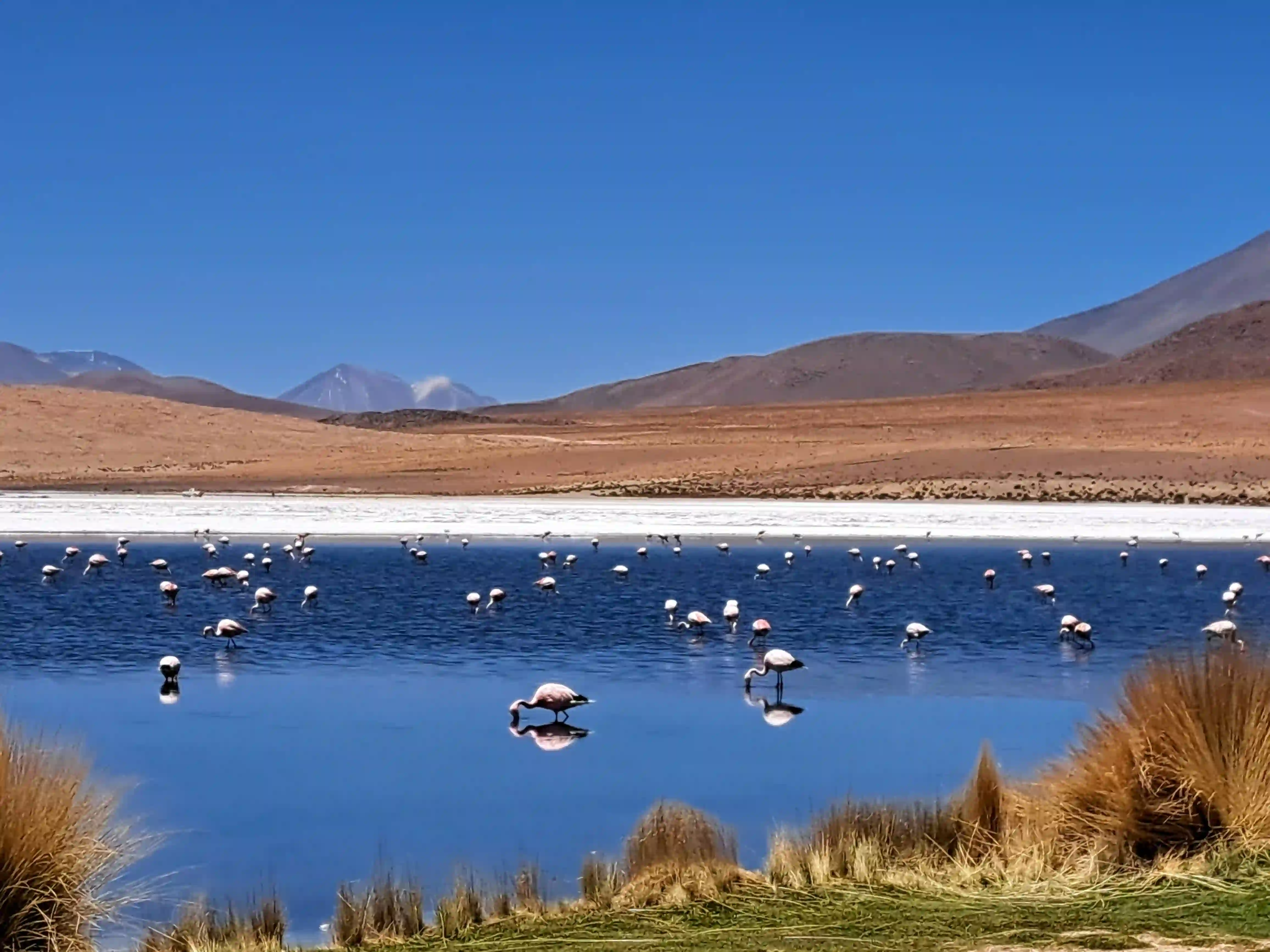 Tour Salar de Uyuni – Isla del Sol - 3