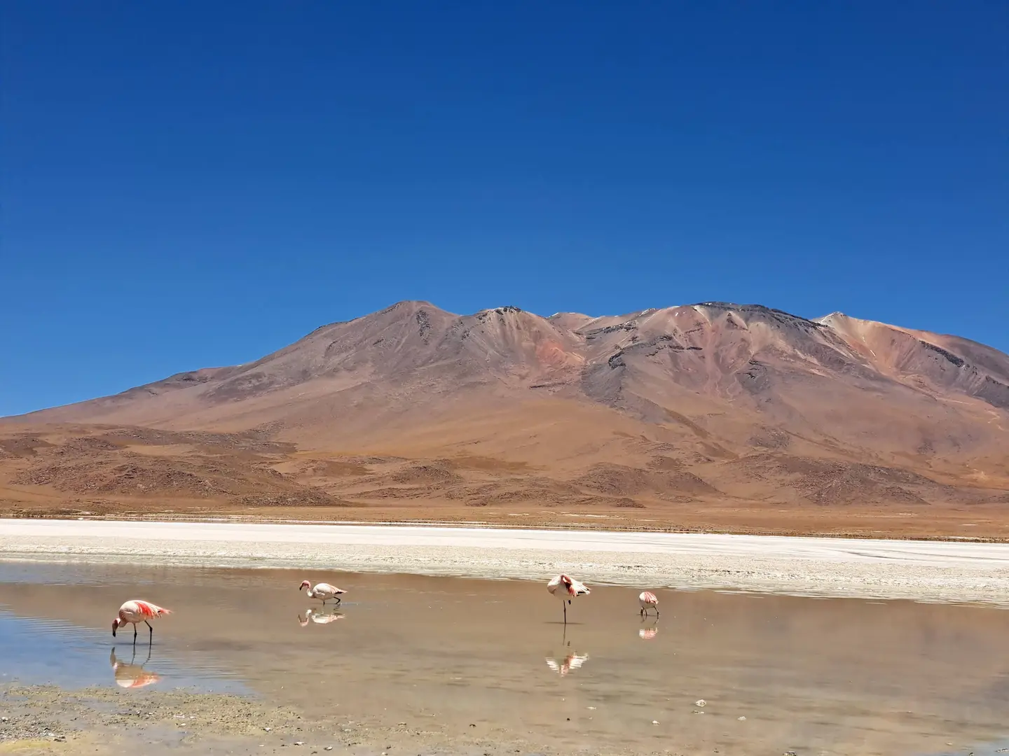 Tours Salar De Uyuni - 6