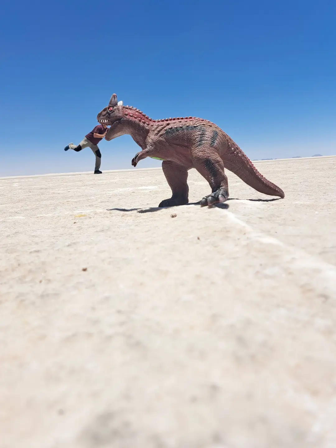 Tours Salar De Uyuni - 8