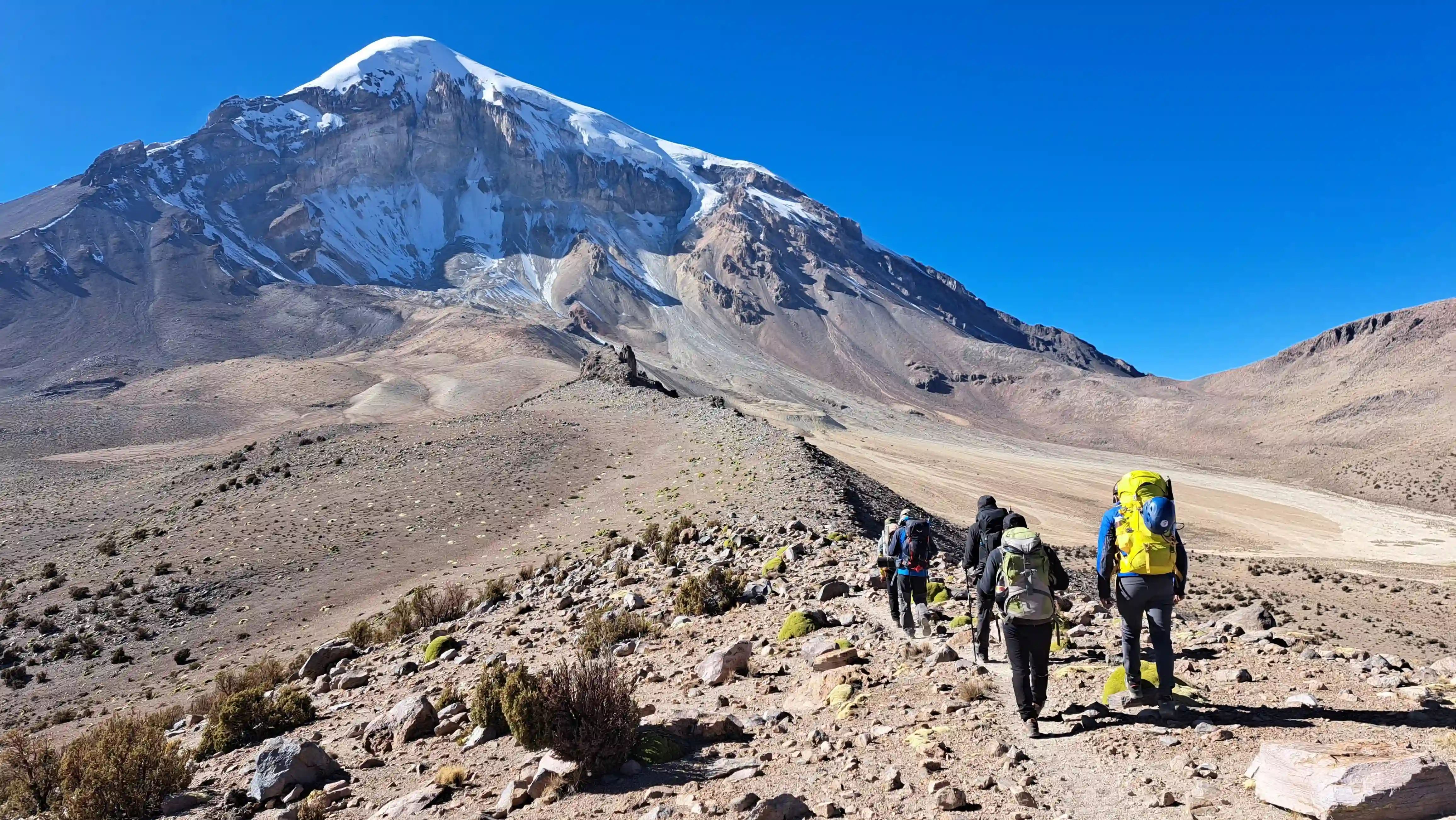 Volcanes de los Andes Bolivia - Acotango, Pomerape, Parinacota  - 2