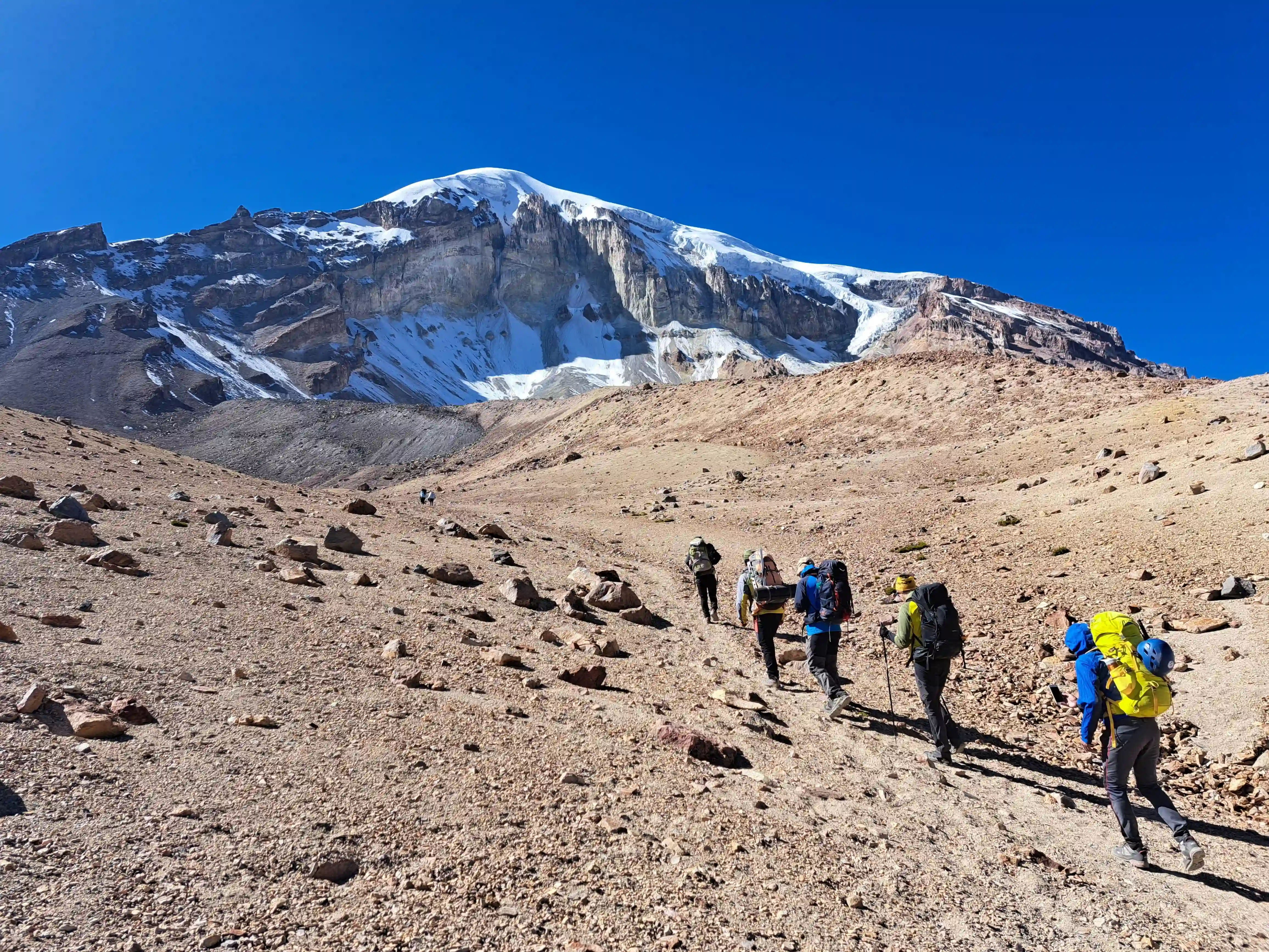 Volcanes de los Andes Bolivia - Acotango, Pomerape, Parinacota  - 4