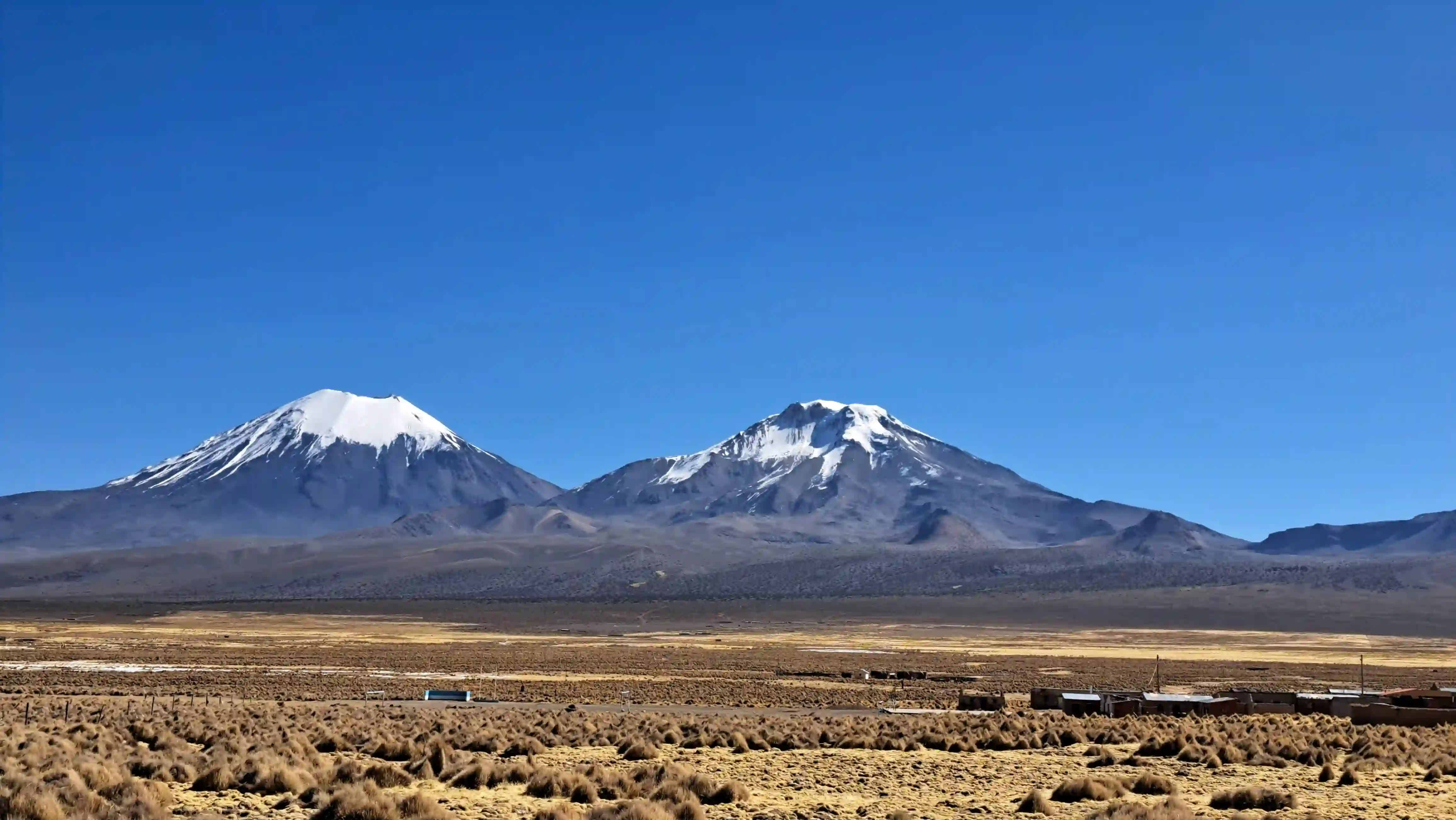 Volcanes de los Andes Bolivia - Acotango, Pomerape, Parinacota  - 13