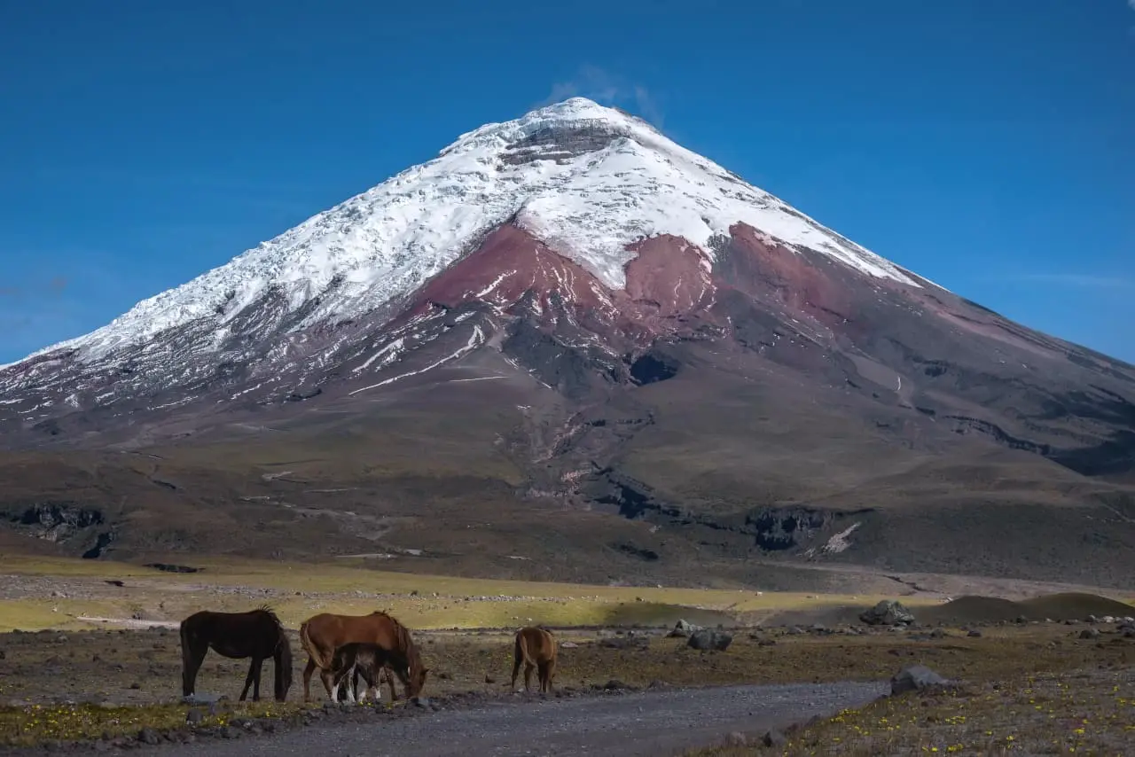 Ascenciones en los andes - ecuador – sudamerica - 2