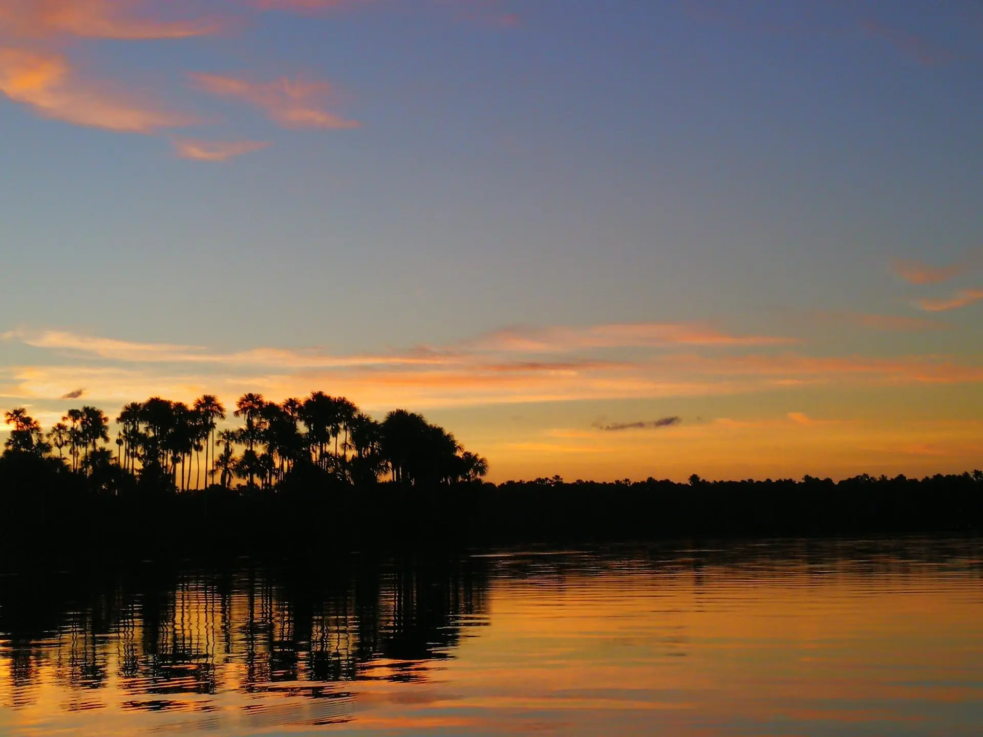 Trekking Santa Cruz, Cusco y Puerto Maldonado - 10