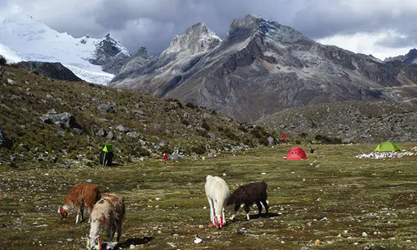 Caminata ascensión santa Cruz - llanganuco - montaña pisco - 3