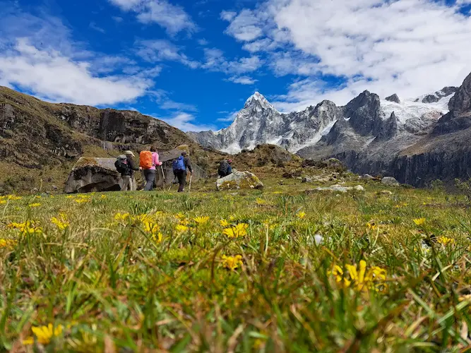 Estandar: Trekking los cedros alpamayo