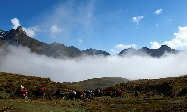 Estandar: Trekking santa cruz